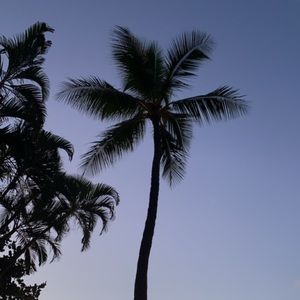 Meet your Posher, Willa